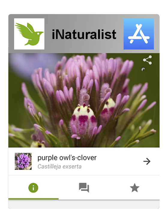 iNaturalist in the Apple Store