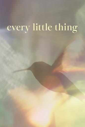 Every Little Thing Poster