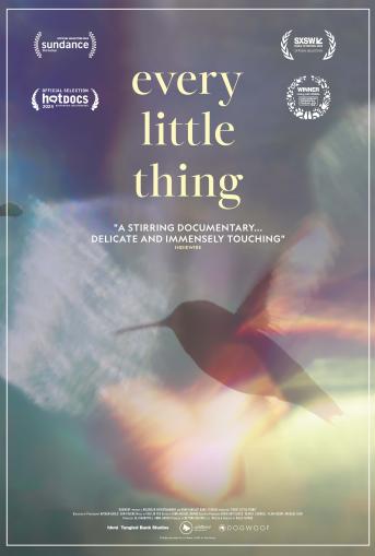 Every Little Thing Poster