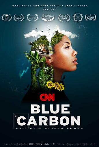 Blue Carbon Poster